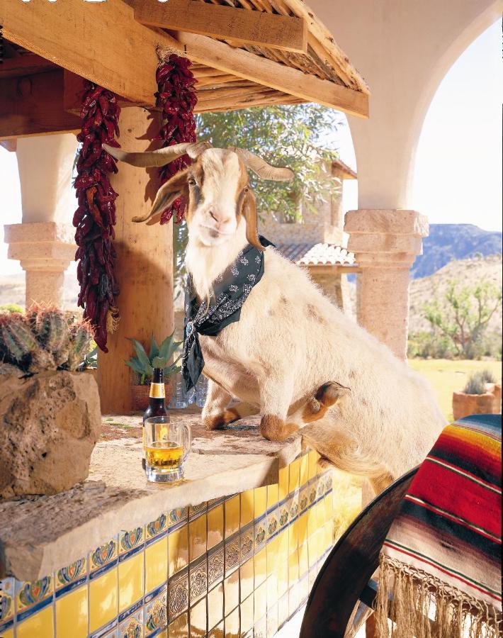 Lajitas Golf Resort Terlingua Exteriér fotografie